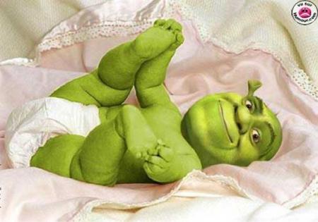 baby shrek